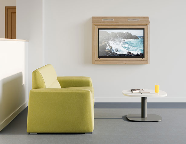 anti-ligature TV enclosure